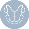 Ortopedia
